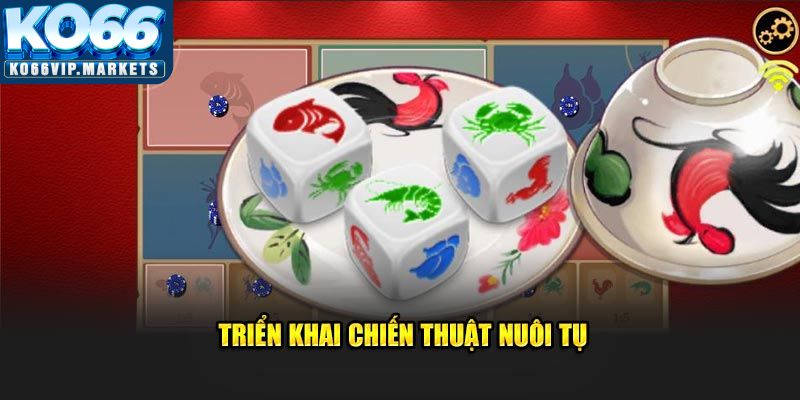 Triển khai chiến thuật nuôi tụ