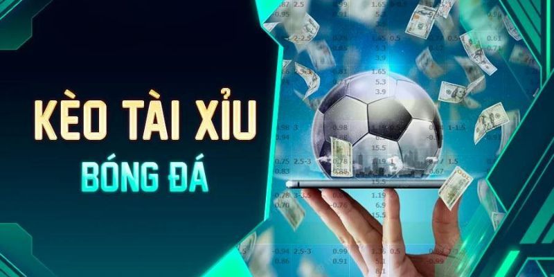 Các Yếu Tố Quan Trọng Khi Soi Kèo Tài Xỉu Bóng Đá